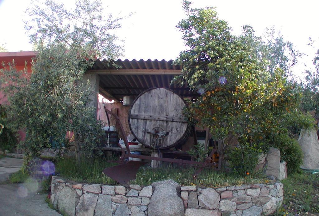 Agriturismo Su Barraccu Loceri Exteriér fotografie