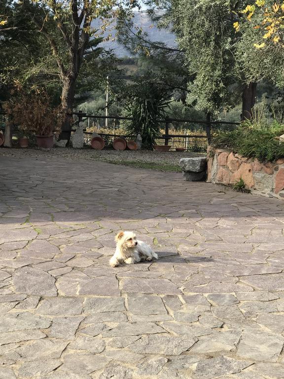 Agriturismo Su Barraccu Loceri Exteriér fotografie