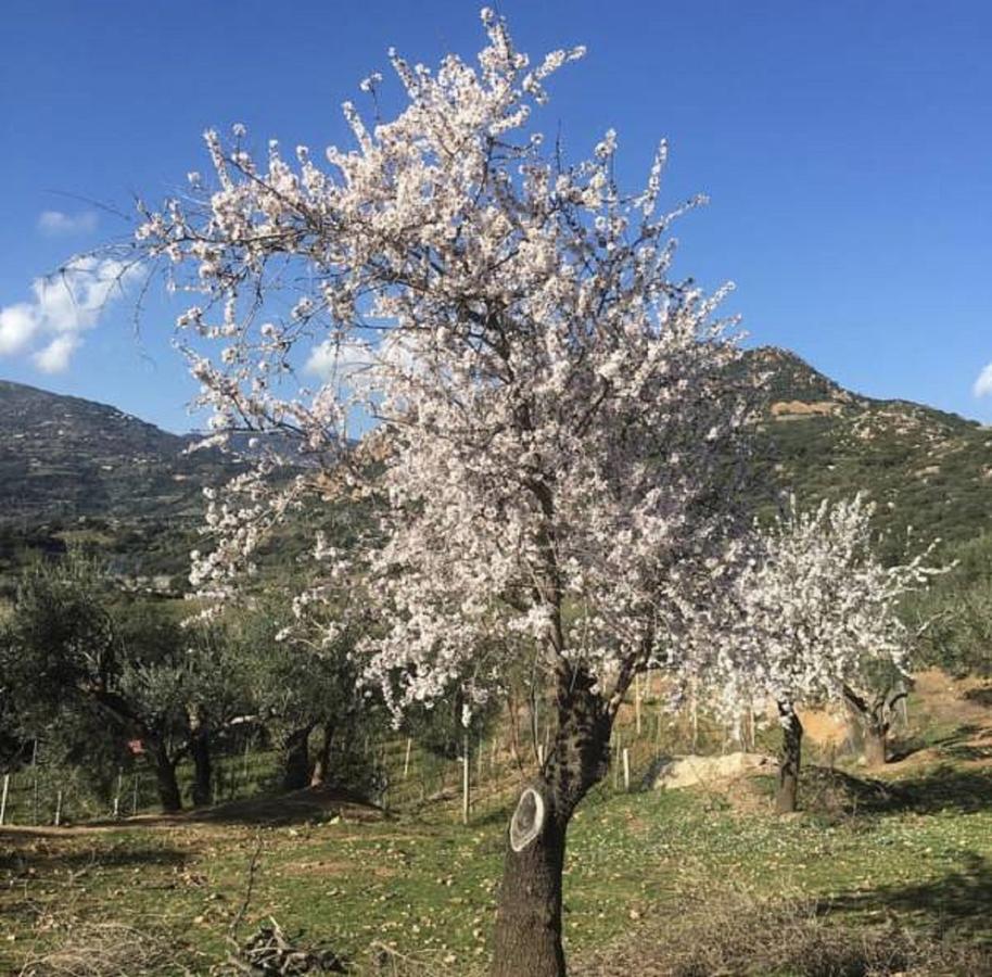 Agriturismo Su Barraccu Loceri Exteriér fotografie
