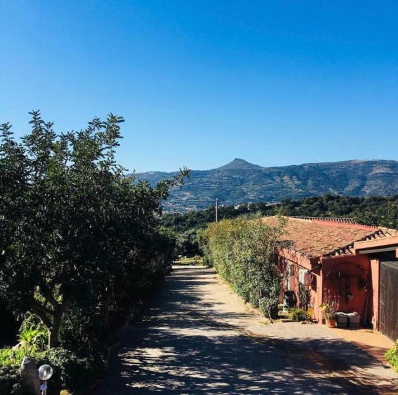 Agriturismo Su Barraccu Loceri Exteriér fotografie