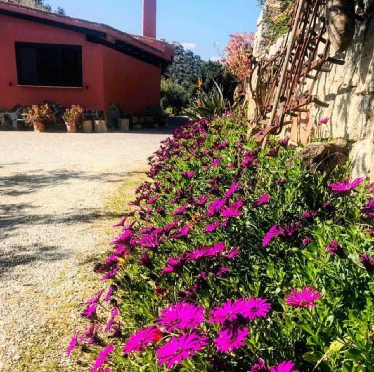 Vila Agriturismo Su Barraccu Loceri Exteriér fotografie